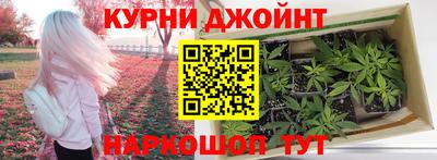 шишки Будённовск