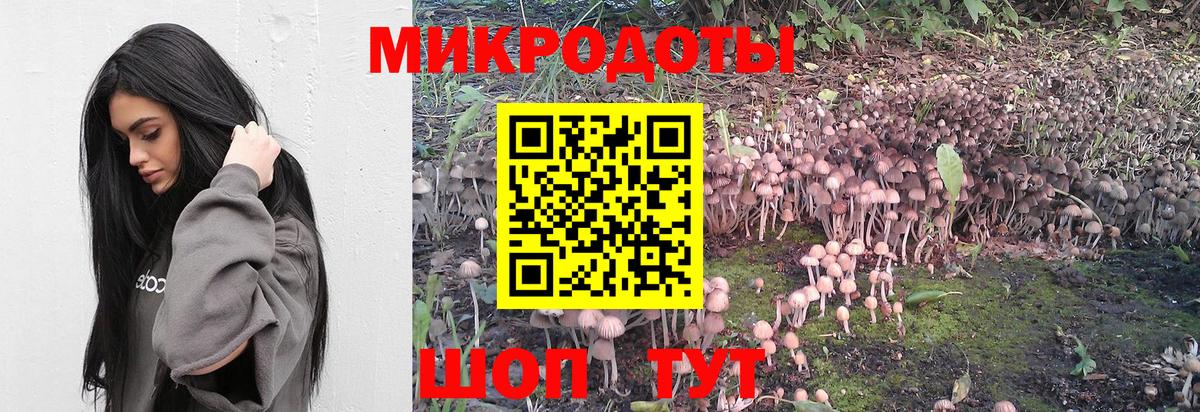 Псилоцибиновые грибы GOLDEN TEACHER Обнинск