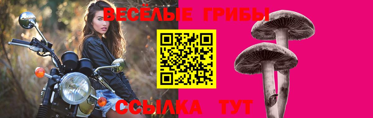 Обнинск  Галлюциногенные грибы прущие грибы  Псилоцибиновые грибы GOLDEN TEACHER  Вход с VPN 
